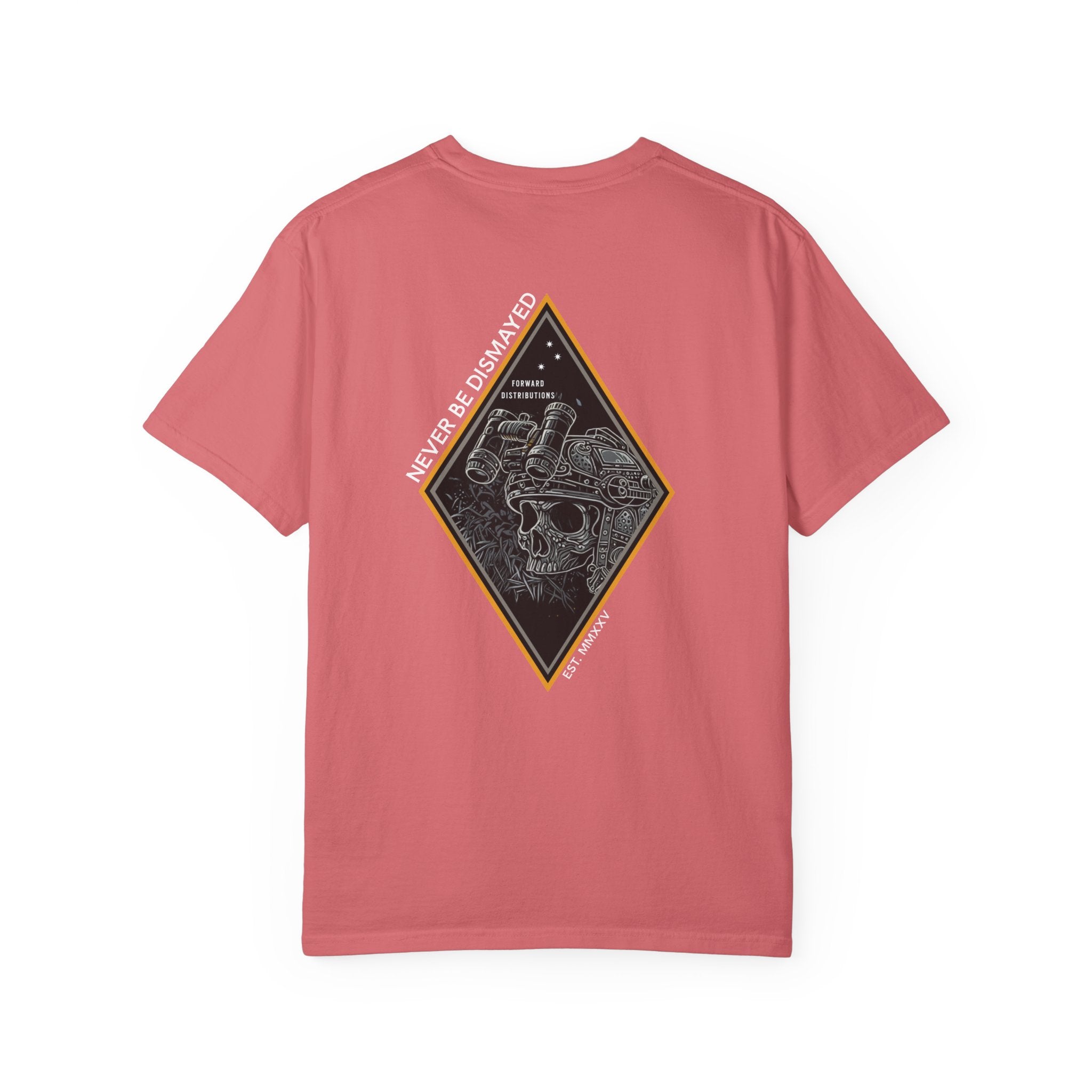 Watemelon heavyweight cotton t-shirt with a skull graphic framed by a diamond shape on the back.