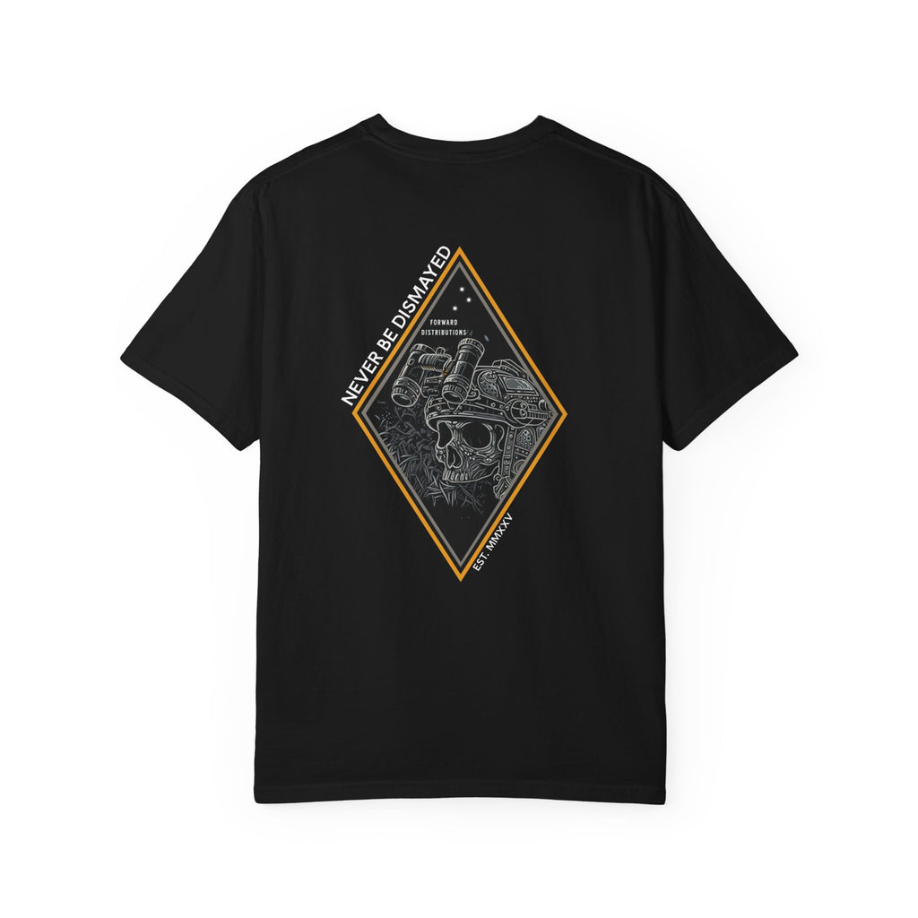 Black heavyweight cotton t-shirt with a skull graphic framed by a diamond shape on the back.