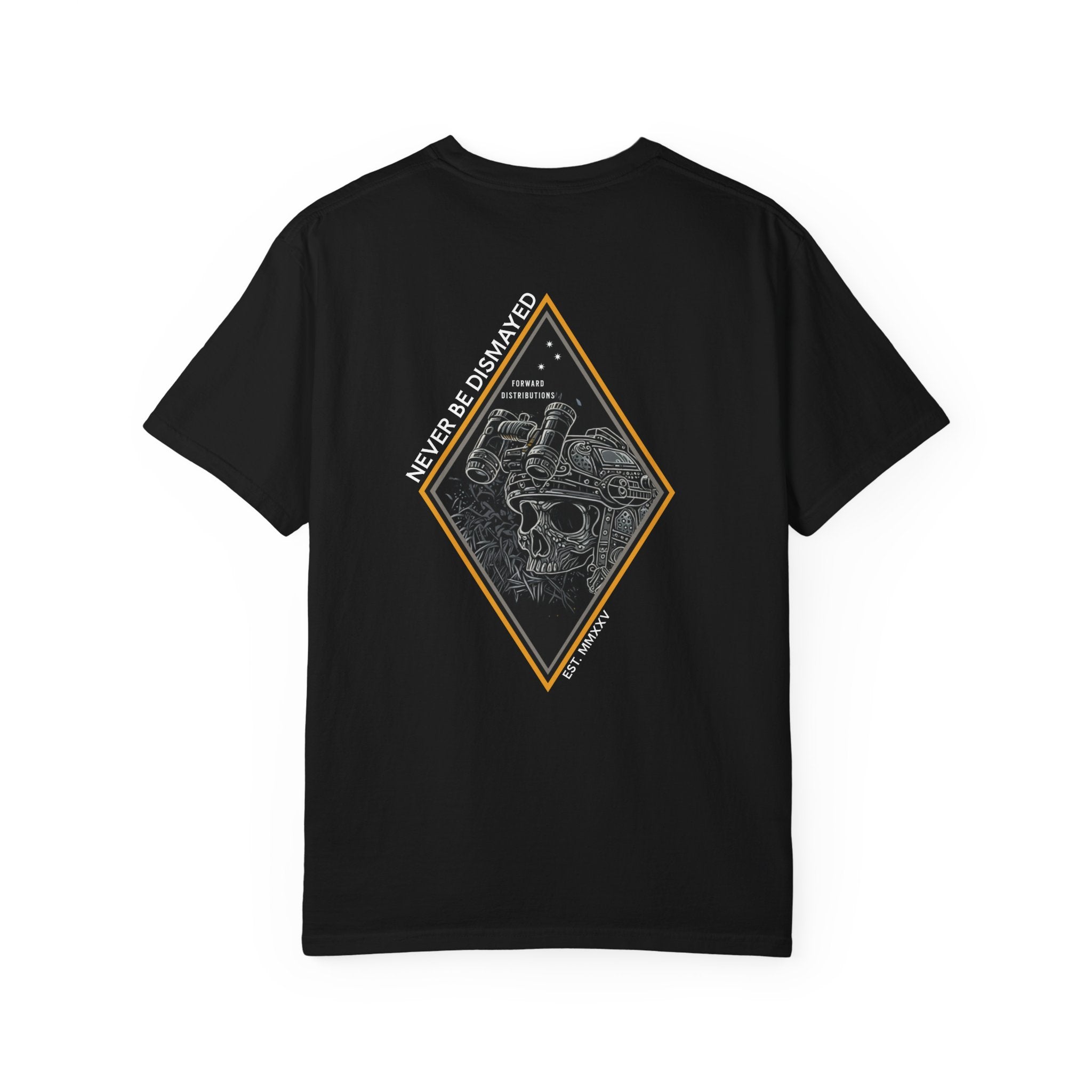Black heavyweight cotton t-shirt with a skull graphic framed by a diamond shape on the back.